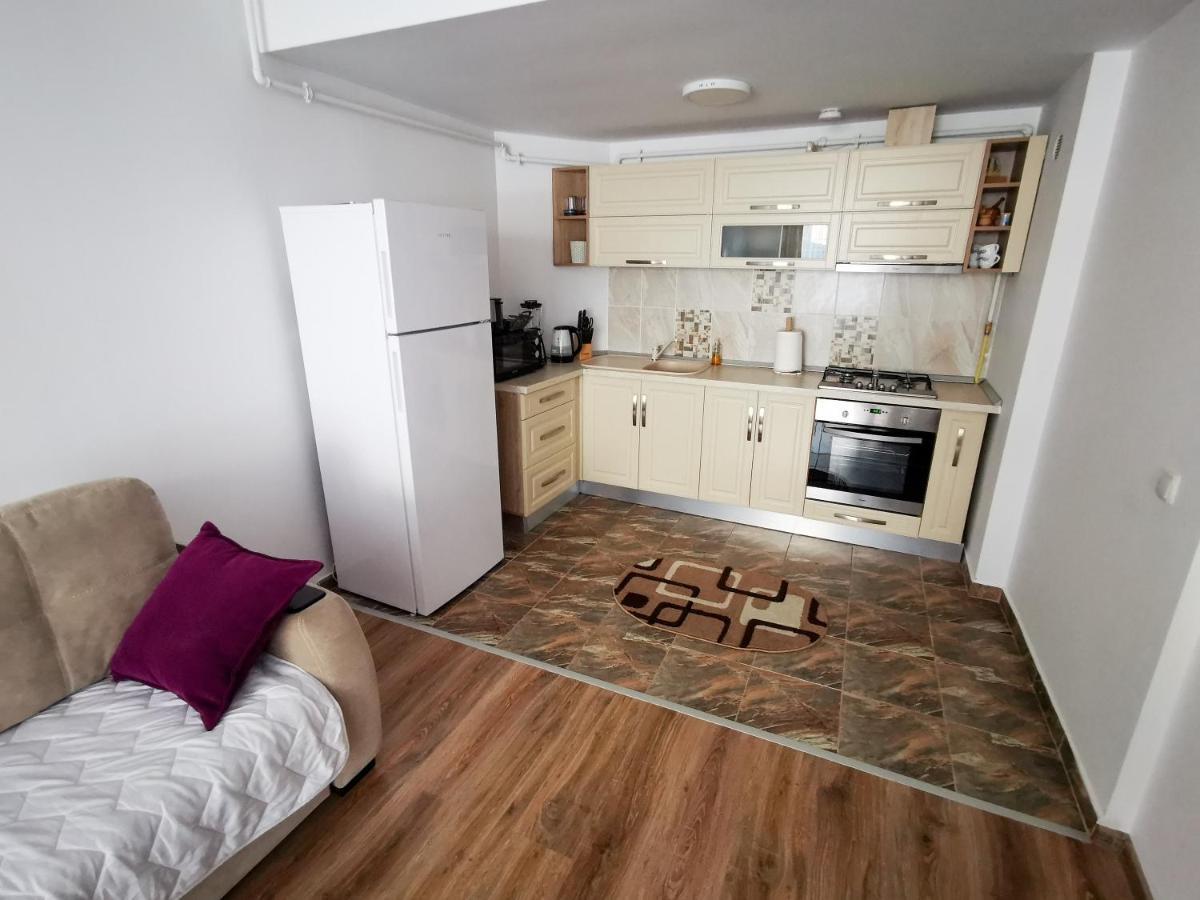 Orchid Luxury Apartment Sinaia Bagian luar foto